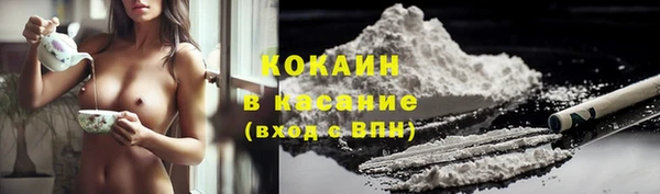 прущие грибы Богородск