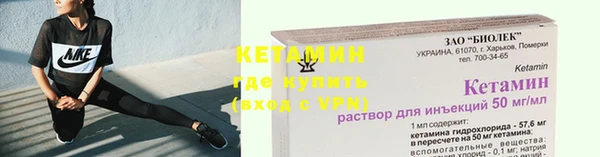 прущие грибы Богородск