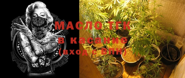 прущие грибы Богородск