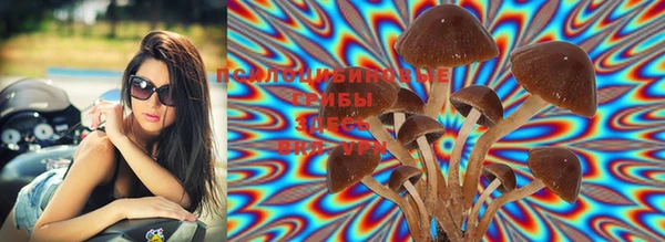 MDMA Богданович
