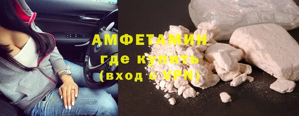ECSTASY Бородино