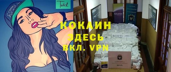 ECSTASY Бородино