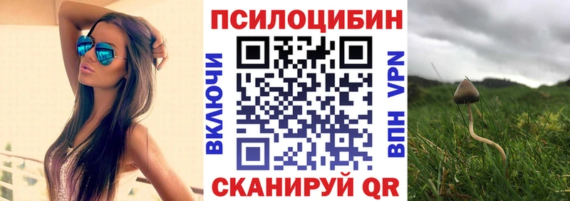 Псилоцибиновые грибы Magic Shrooms  как найти закладки  Балахна 